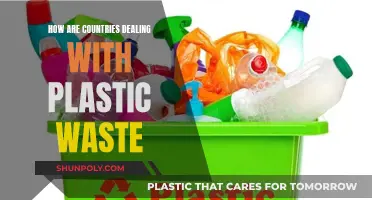 Global Efforts to Combat Plastic Pollution