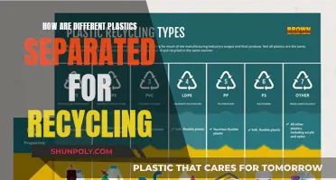 Unraveling the Recycling Process: Plastic Sorting Techniques Explained