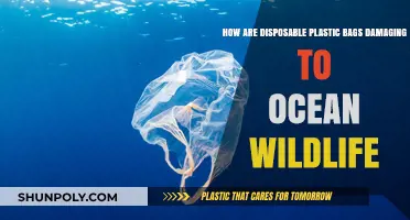 Plastic Peril: How Disposable Bags Threaten Ocean Wildlife Survival