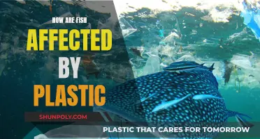Plastic Pollution: A Deadly Threat to Fish