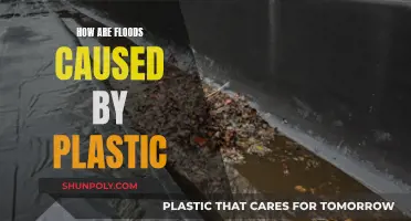 Plastic Pollution: A Recipe for Floods