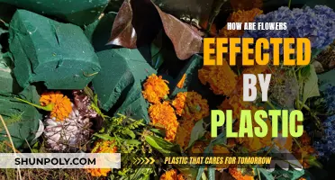 Flowers and Plastic: A Toxic Relationship