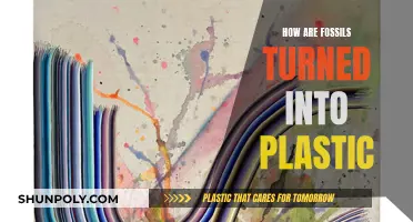 The Mystery of Fossil-to-Plastic Transformation
