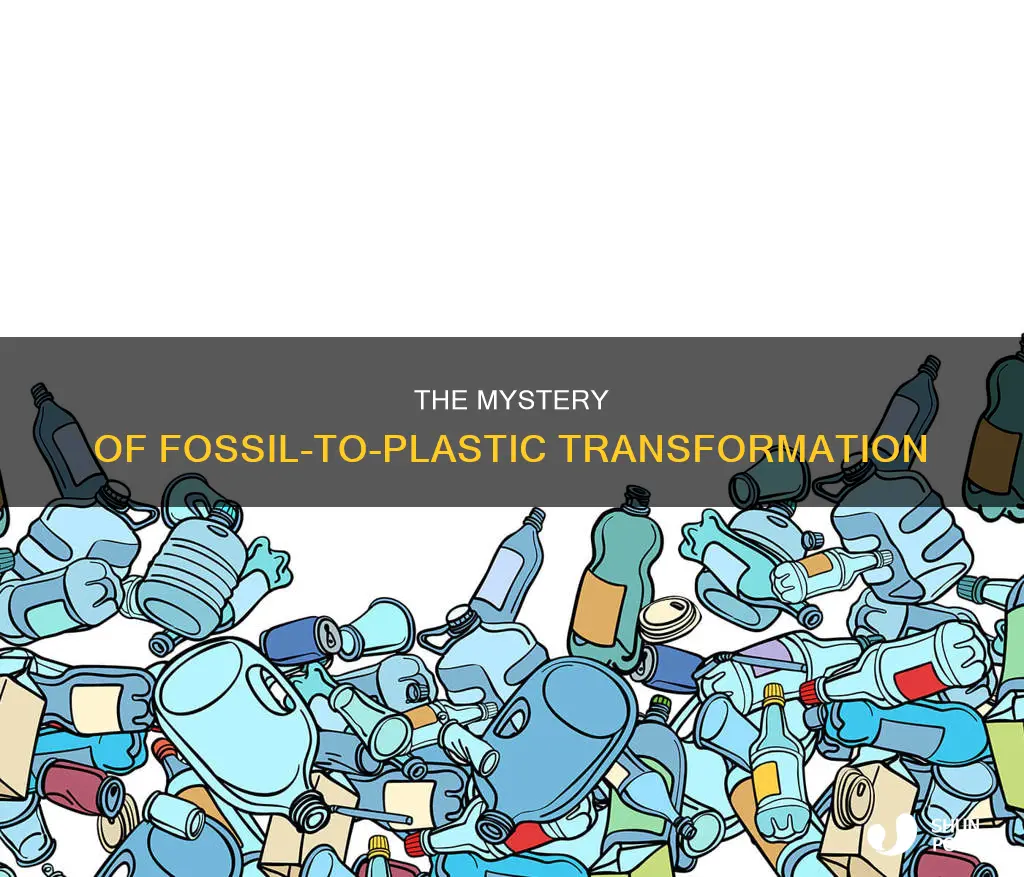 how are fossils turned into plastic