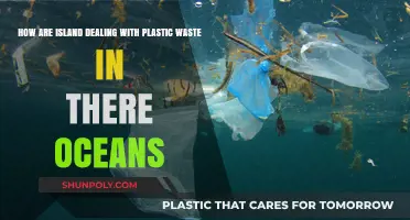 Island Nations Unite: Innovative Strategies to Combat Ocean Plastic Waste