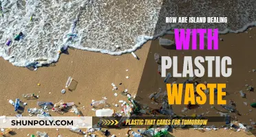 Islands Battle Plastic Pollution: Strategies and Solutions
