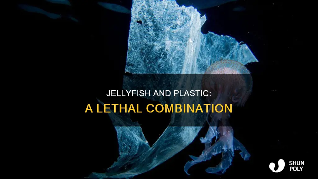 how are jellyfish affected by plastic