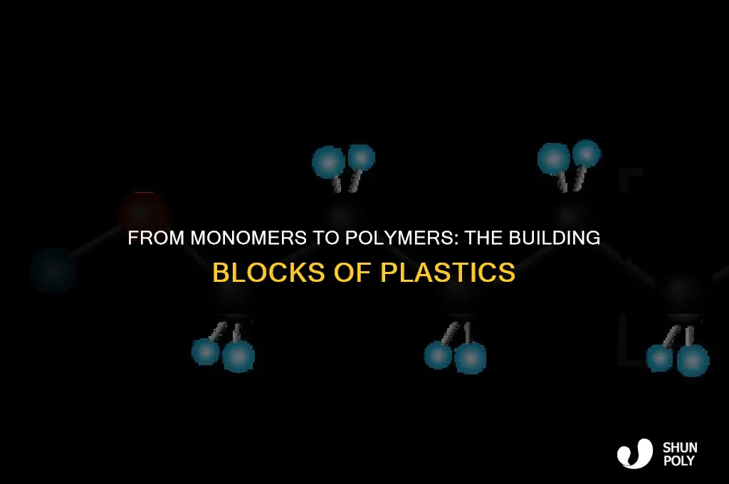 how are monomers and polymers related to plastics