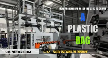 From Earth to Plastic: How Natural Resources Shape Everyday Bags