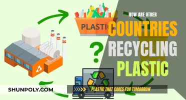 Global Plastic Recycling: Innovative Strategies for a Sustainable Future