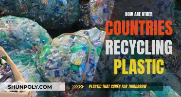 Recycling Innovations: Global Plastic Solutions and Initiatives