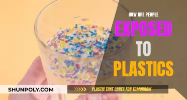 The Plastic Problem: How We're Exposed