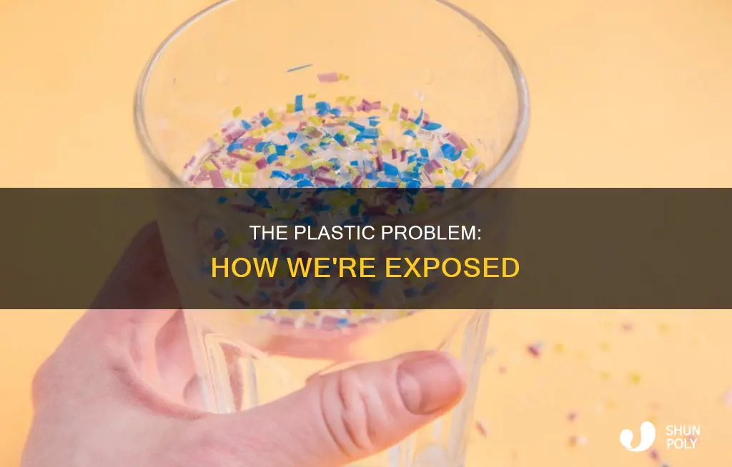how are people exposed to plastics