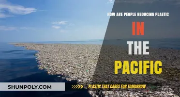 Sustainable Waves: Pacific Communities Leading the Charge Against Plastic Pollution