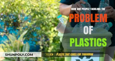 Innovative Solutions to Combat the Plastic Pollution Crisis