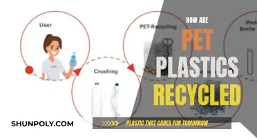 Unraveling the Process: How PET Plastics are Recycled for a Greener Future