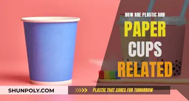 Paper vs Plastic: The Cup Conundrum