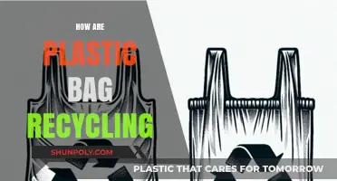 Sustainable Solutions: How Plastic Bag Recycling Protects Our Planet