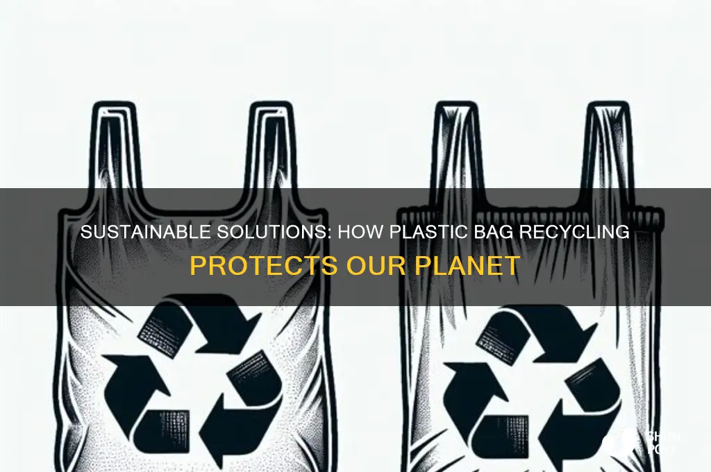 how are plastic bag recycling