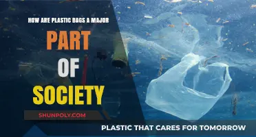 Plastic Bags: Society's Ubiquitous Convenience and Environmental Dilemma Explained