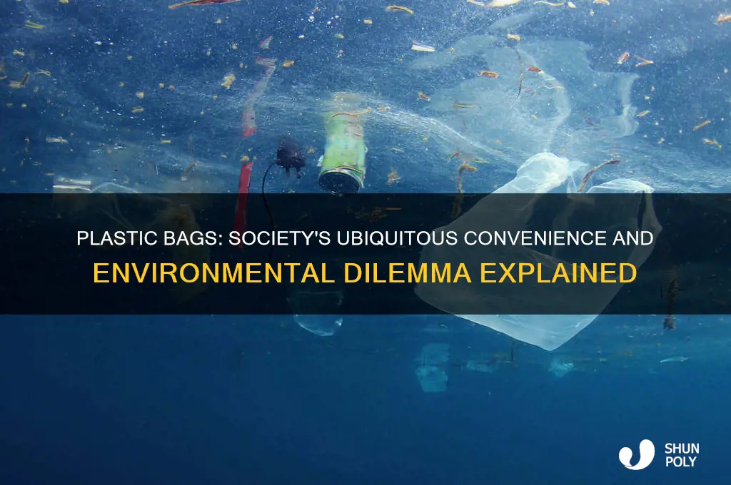 how are plastic bags a major part of society