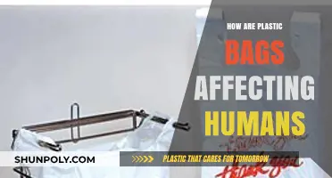 Plastic Bags' Hidden Dangers: Impact on Human Health and Environment