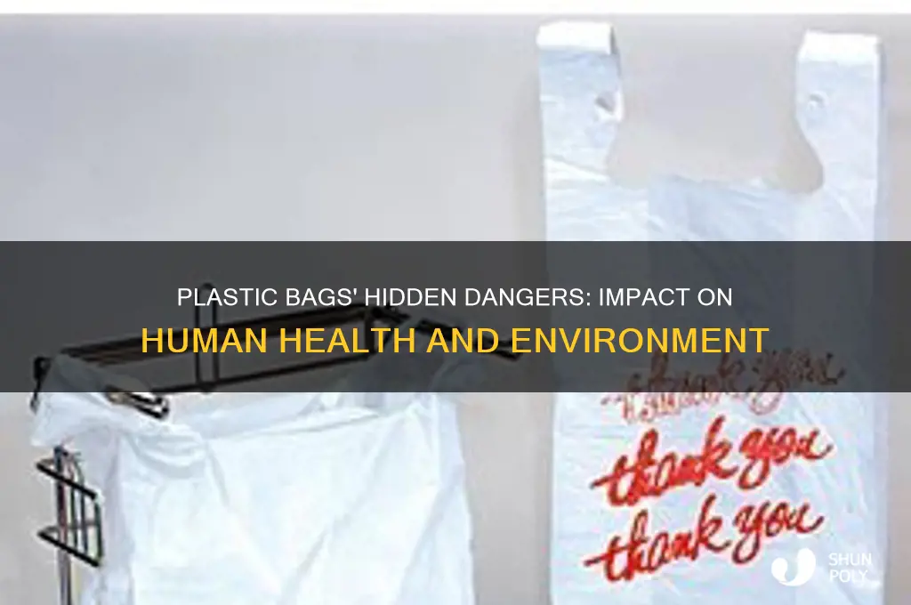 how are plastic bags affecting humans