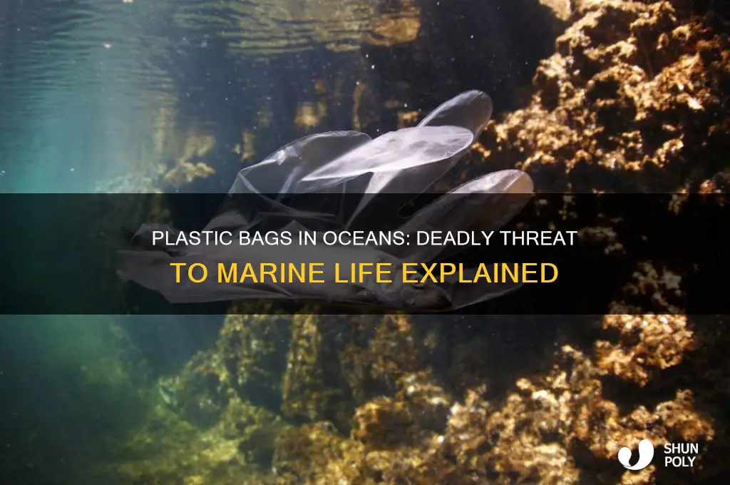 how are plastic bags affecting sea creatures