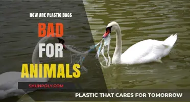 Plastic Bags: Silent Killers Threatening Wildlife and Ecosystems Worldwide