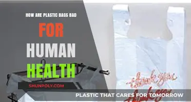 Plastic Bags' Hidden Dangers: How They Harm Human Health