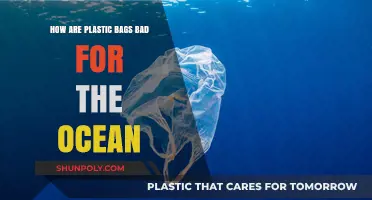 Plastic Bags in the Ocean: Harmful Impacts and Environmental Consequences