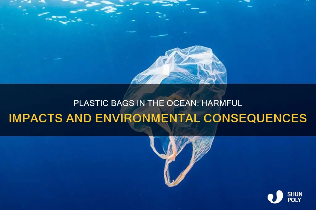 how are plastic bags bad for the ocean
