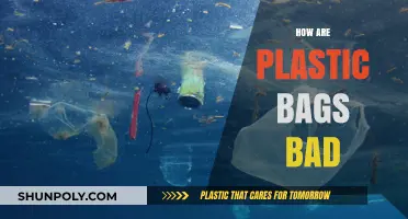 The Harmful Impact of Plastic Bags on Our Environment and Health