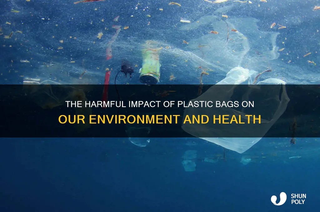 how are plastic bags bad