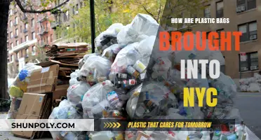 How Plastic Bags Enter NYC: A Detailed Supply Chain Overview