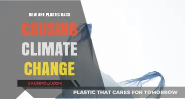 Plastic Bags' Hidden Impact: Uncovering Their Role in Climate Change