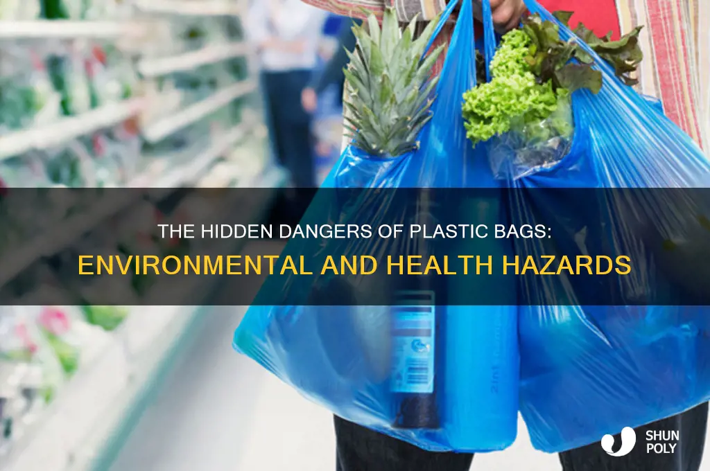 how are plastic bags hazardous