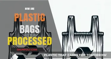 From Waste to Resource: The Plastic Bag Processing Journey Explained
