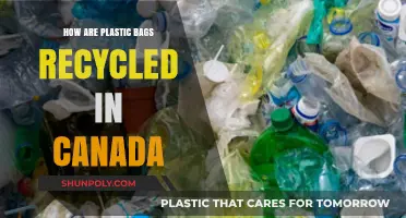 Canada's Plastic Bag Recycling Process: A Comprehensive Guide