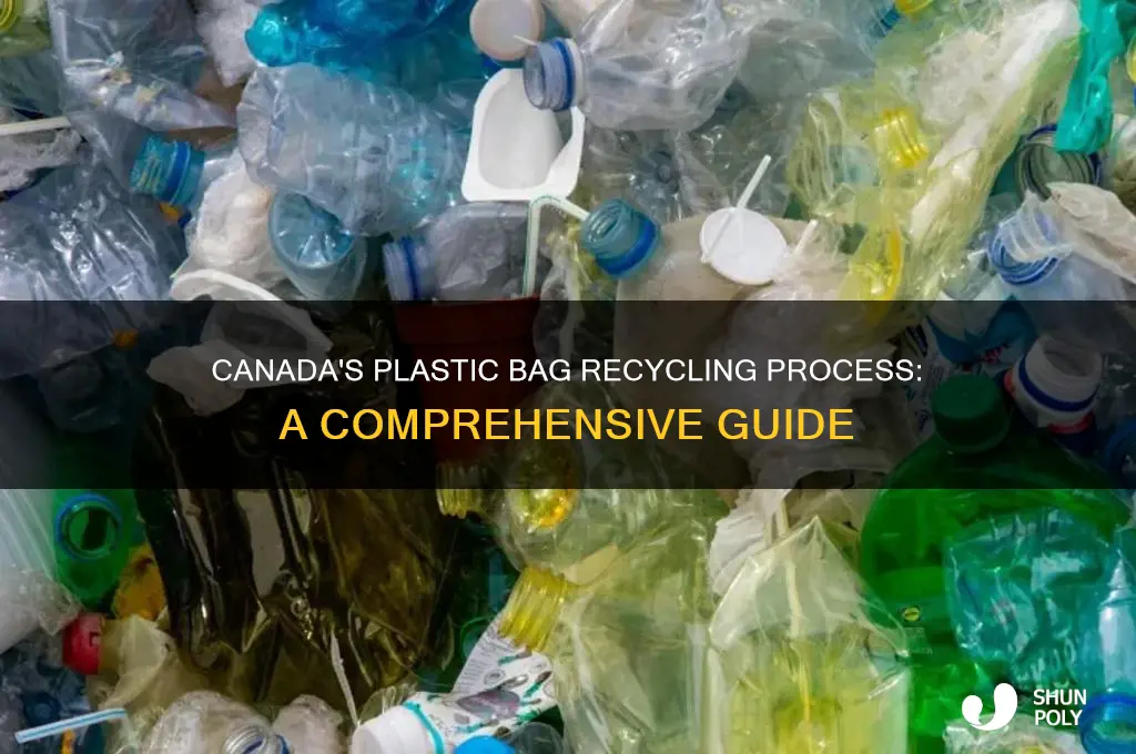 how are plastic bags recycled in canada