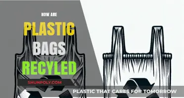 Recycling Plastic Bags: A Step-by-Step Guide to Sustainable Disposal