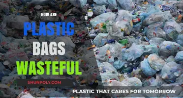 The Environmental Cost of Plastic Bags: A Wasteful Reality