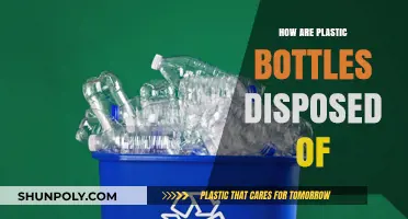 Understanding the Journey: How Plastic Bottles Are Disposed Of