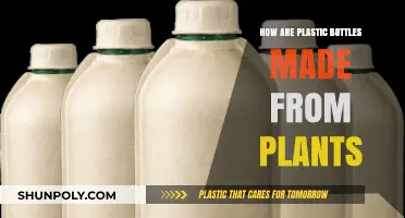 From Plants to Plastic: The Eco-Friendly Bottle Manufacturing Process