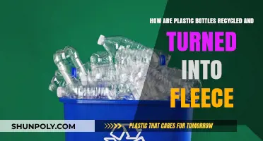 From Bottle to Fleece: The Recycling Journey of Plastic Bottles