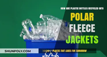 From Bottle to Fleece: The Recycling Journey of Plastic Bottles