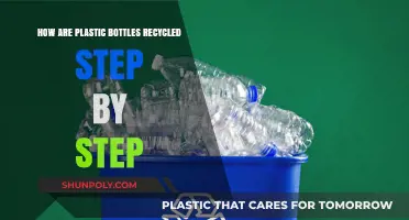From Trash to Treasure: The Step-by-Step Plastic Bottle Recycling Process