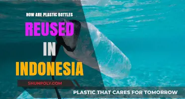 Innovative Ways Indonesia Reuses Plastic Bottles for Sustainability