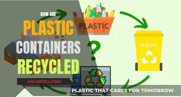 Unveiling the Journey: From Trash to Treasure: Plastic Container Recycling