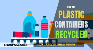 The Journey of Plastic Containers: From Trash to Treasure